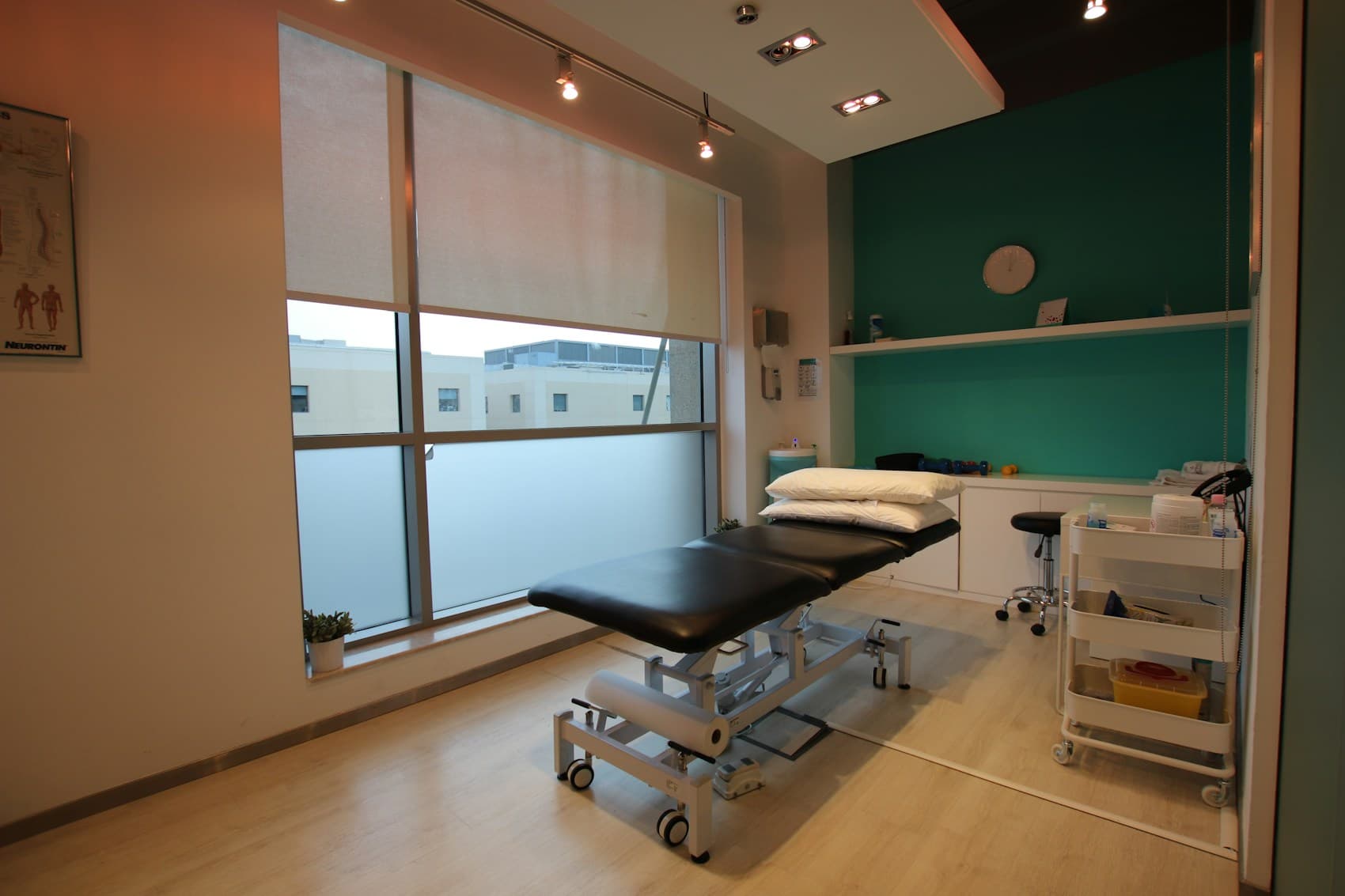 Wellness Programs techniques in use